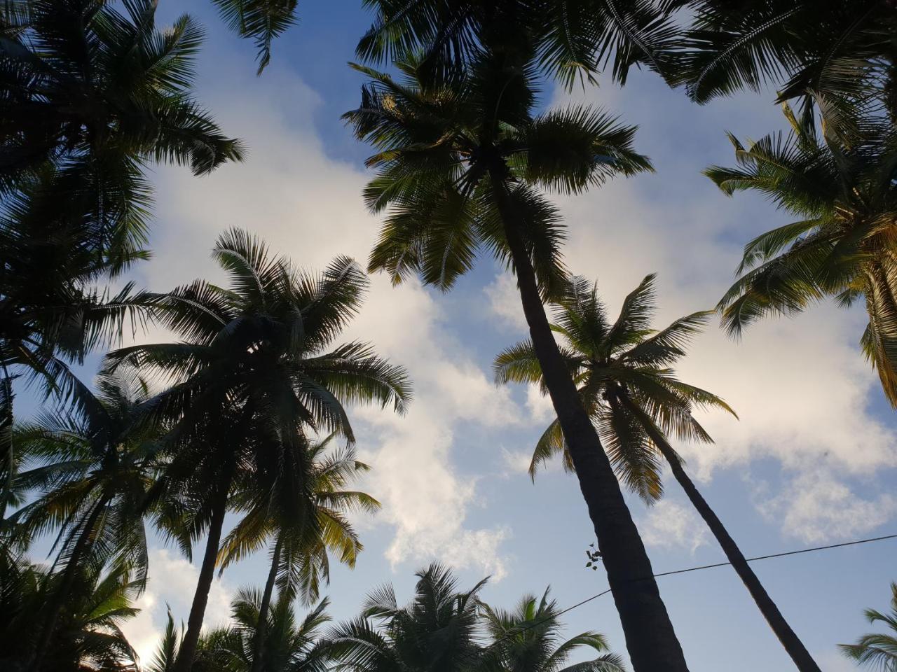 Palm Forest Palolem Exterior foto