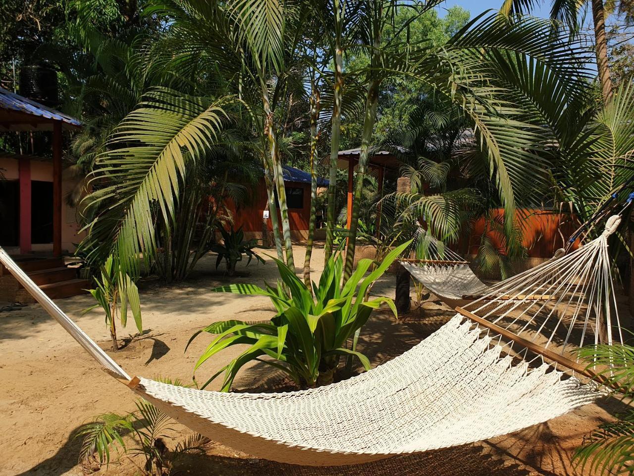 Palm Forest Palolem Exterior foto